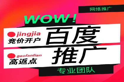 某某SEM公司：一则关于搜索引擎营销的经典成功案例